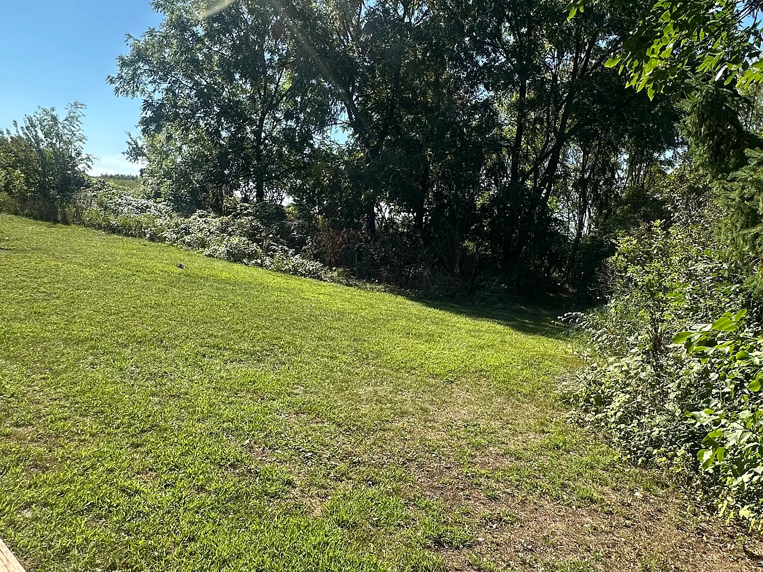 2 bed, $1,350 — Photo 4