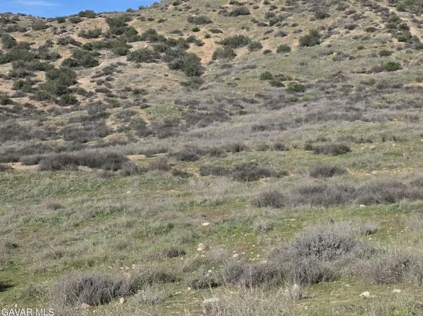 0 Vac Vic Desert Springs Ave, Palmdale, CA 93551