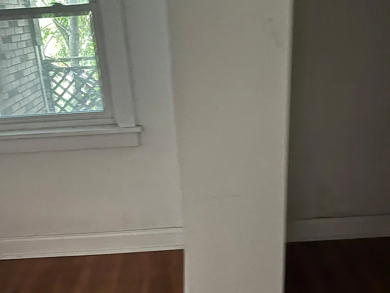 2336 Eldridge St #1 — Photo 9