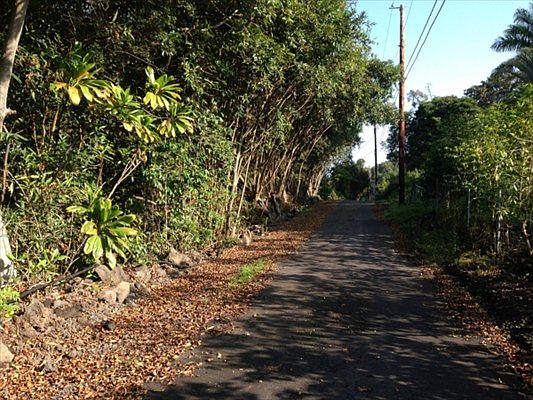 5th image of LOT 2 A