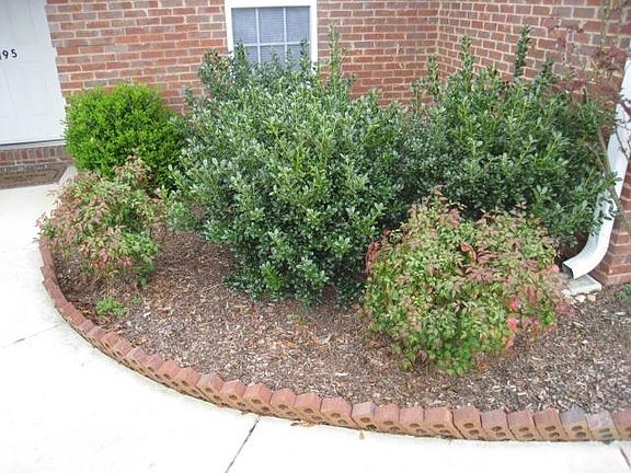 2nd image of 195 Chestnut Oak Cir #195