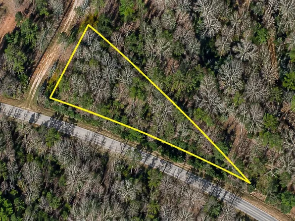 TBD W County Line Rd. #TBD W County Line Rd, Hemingway, SC 29554