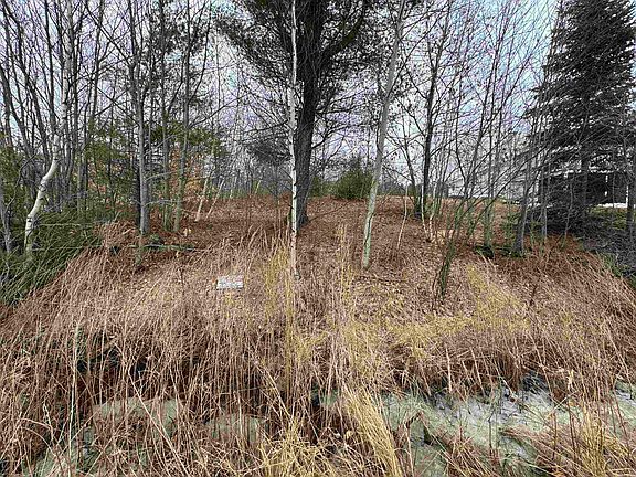 5th image of Barnstead North Road #4