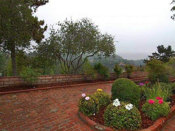 Canyon View
