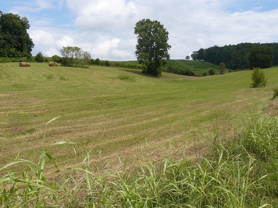 2nd image of TRACT 5 Holston River Dr Lot 5