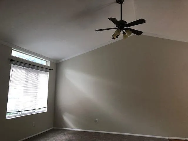2984 Pinecone Ln — Photo 5