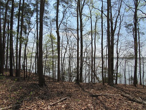 3rd image of 6 Starboard Cir