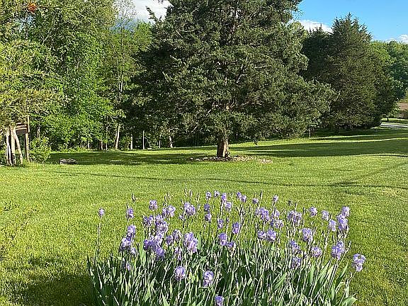 Main yard