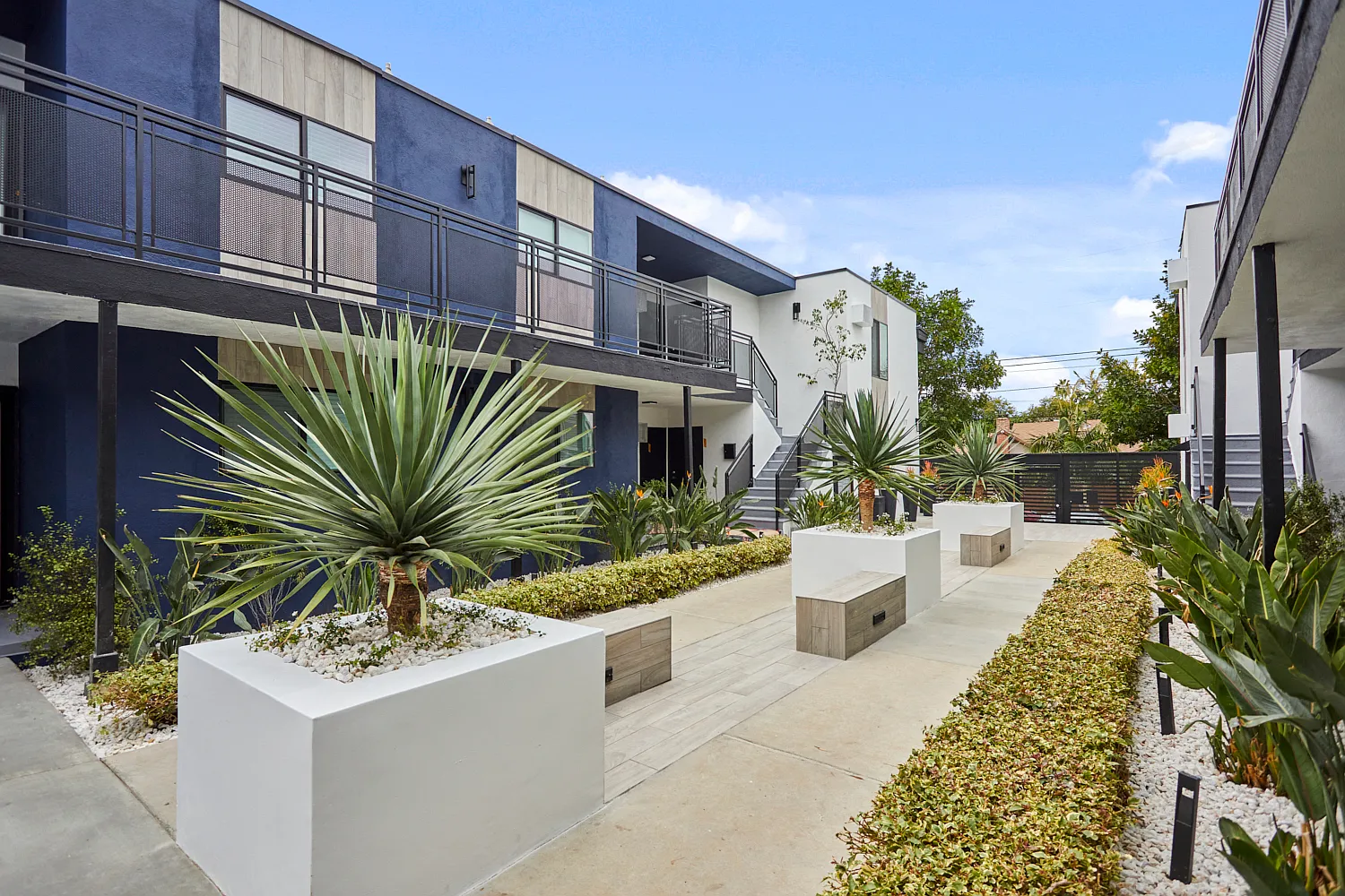 Callie on Curson — Photo 4