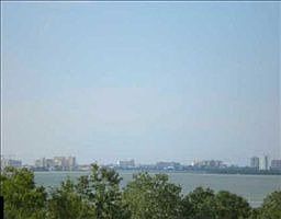 5th image of 150 Belleview Blvd APT 305