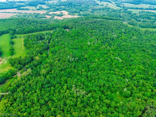 Miller Hill Rd NE, Sherrodsville, OH 44675
