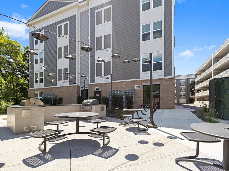 Muse Carmel — Photo 19