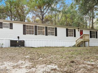 66 Panda Ave, Middleburg, FL 32068