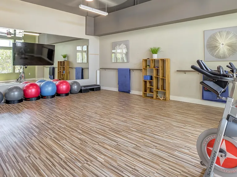 The Nolen Luxury Apartments — Photo 21