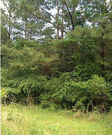 3rd image of 3942 Highway 1043