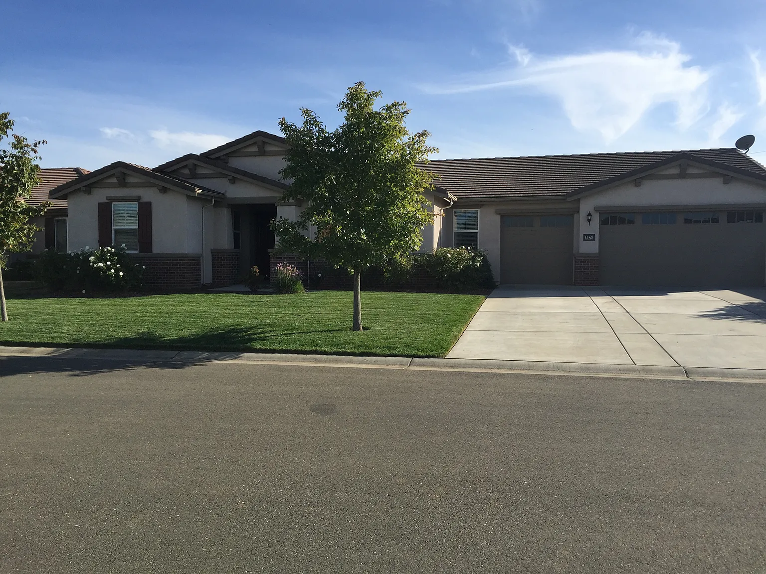 2024 Abelia Ct photo 1