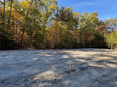 Miracle Springs Rd, Elkton, VA, 22827