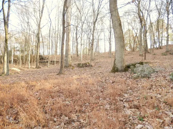 365 Skyline Dr, Cobden, IL 62920