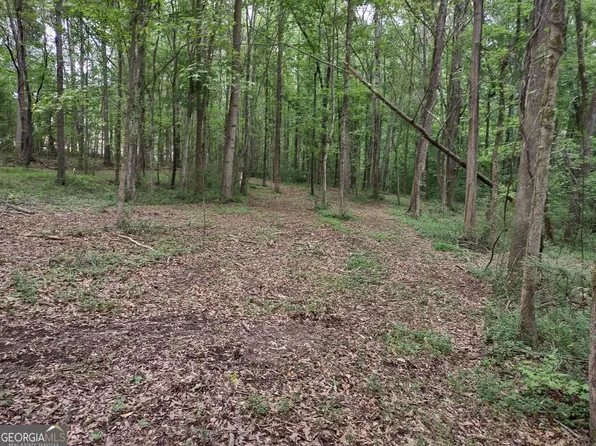 LOT 3 Coatsworth Dr, Stockbridge, GA 30281