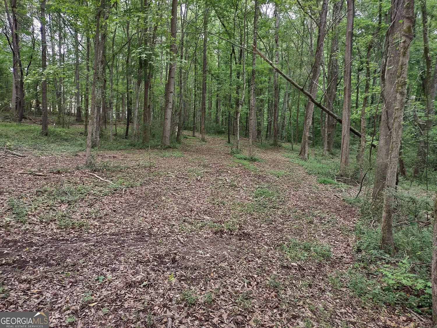 LOT 3 Coatsworth Dr photo 1