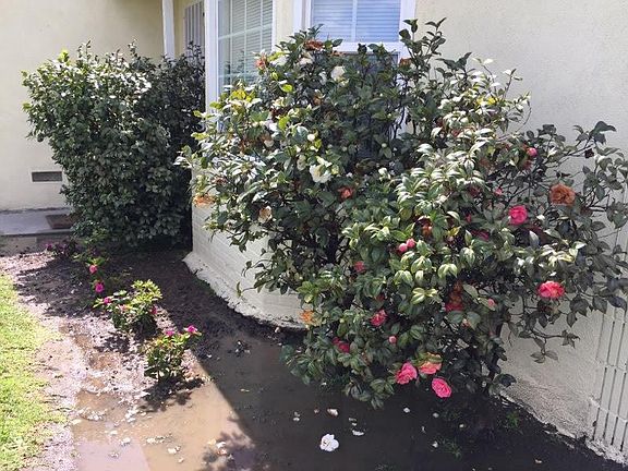 3rd image of 2329 Gerhart Ave