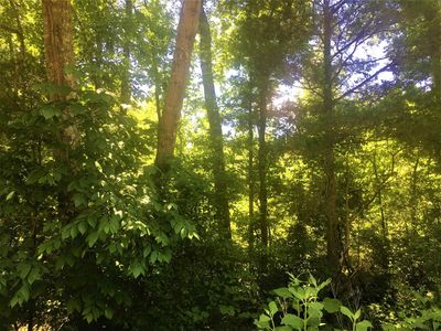 Moncure Pittsboro Rd LOT 3, Moncure, NC, 27559