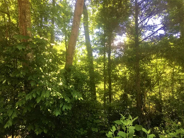 Moncure Pittsboro Rd Lot 3, Moncure, NC 27559