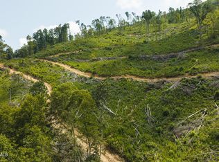 Snake Hollow Rd, Sneedville, TN 37869