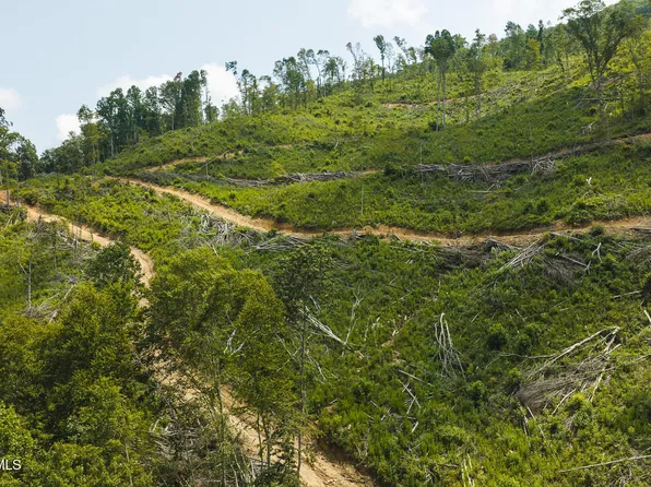Snake Hollow Rd, Sneedville, TN 37869