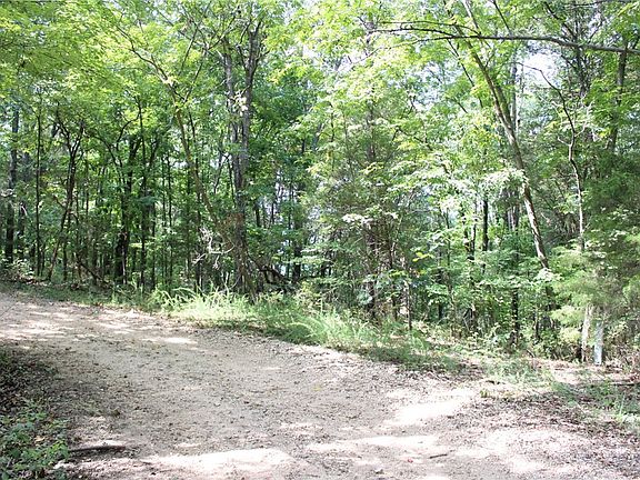 3rd image of Welland Ln #10