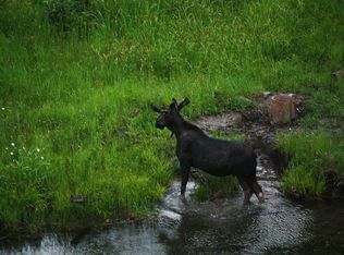 73 Sleepy Doe Ln, Athol, ID 83801