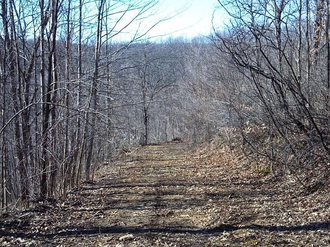1st image of 12757 Soules Creek Dr