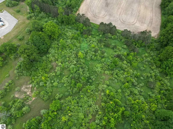 Juniper Dr, Farwell, MI 48622