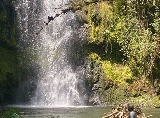 32-473 Wailele Rd LOT 62, Ninole, HI 96773