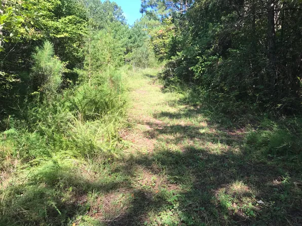 Boiling Springs Rd, Vonore, TN 37885