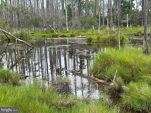 5th image of Farm Creek Rd