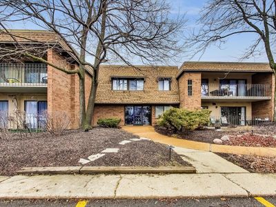 250 Old Oak Dr APT 175, Buffalo Grove, IL, 60089