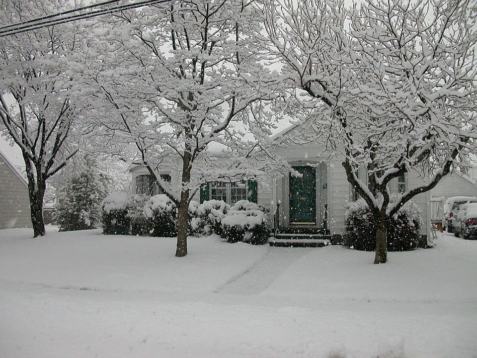 Winter Wonderland