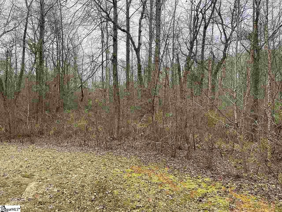 2nd image of 337 Willow Creek Dr