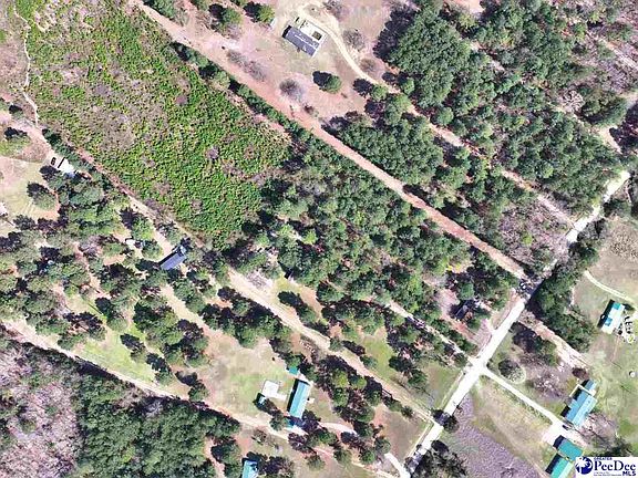 2nd image of 415 Hawkins Rd