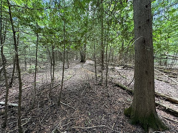 4th image of LOT 1 Horseshoe Bay Rd