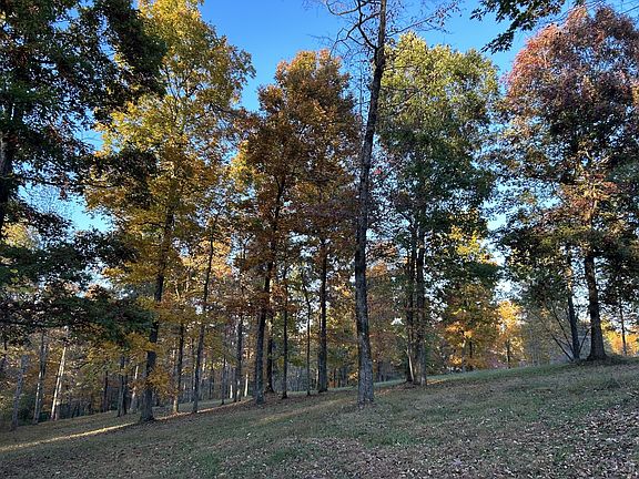 4th image of 7850 W Lick Creek Rd