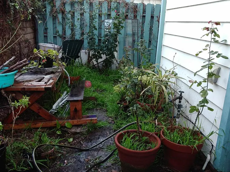 Back Yard Garden