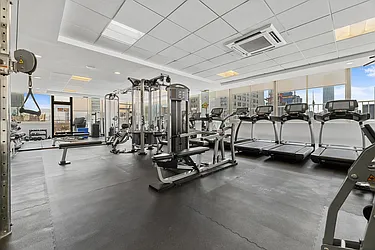 Rented by Level Group