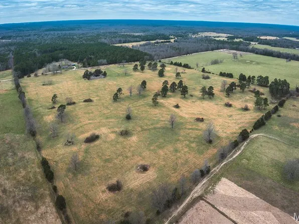 Dewitt Dr, Hartshorn, MO 65479