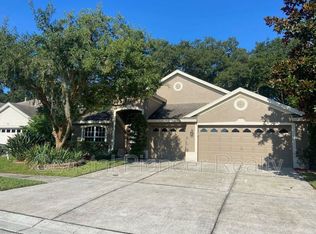 10542 San Travaso Dr, Tampa, FL 33647