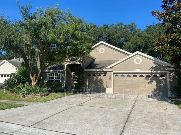 10542 San Travaso Dr, Tampa, FL 33647