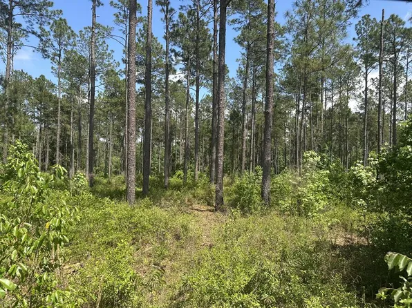 0 Rupp Rd, Ochlocknee, GA 31773