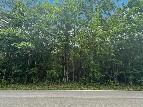0 Woods Rd Tract 2, Tunnel Hill, GA 30755