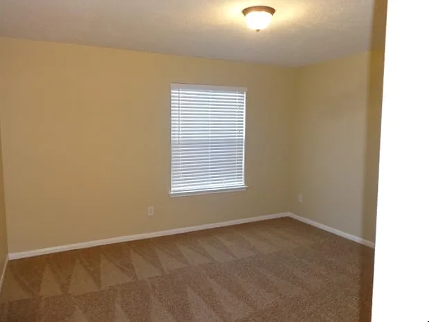 9031 Ferndale View Dr — Photo 11